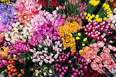 《飞越13号房》开发商新作 双人互动影游《谍影成双》正式公布