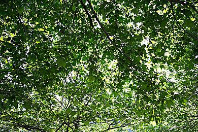 开发商公布《分裂之门》年度数据 总时长高达6167年